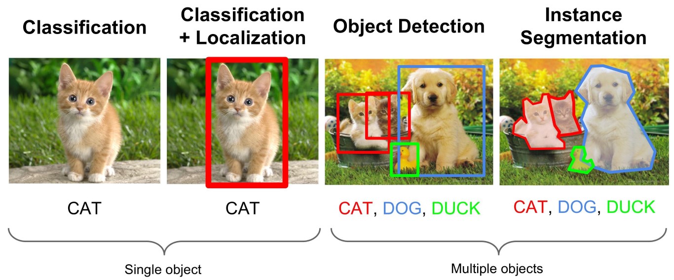 Image Classification versus Segmentation