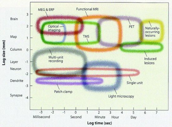 Neuroscience Tools